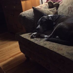 Meet your Posher, Janice